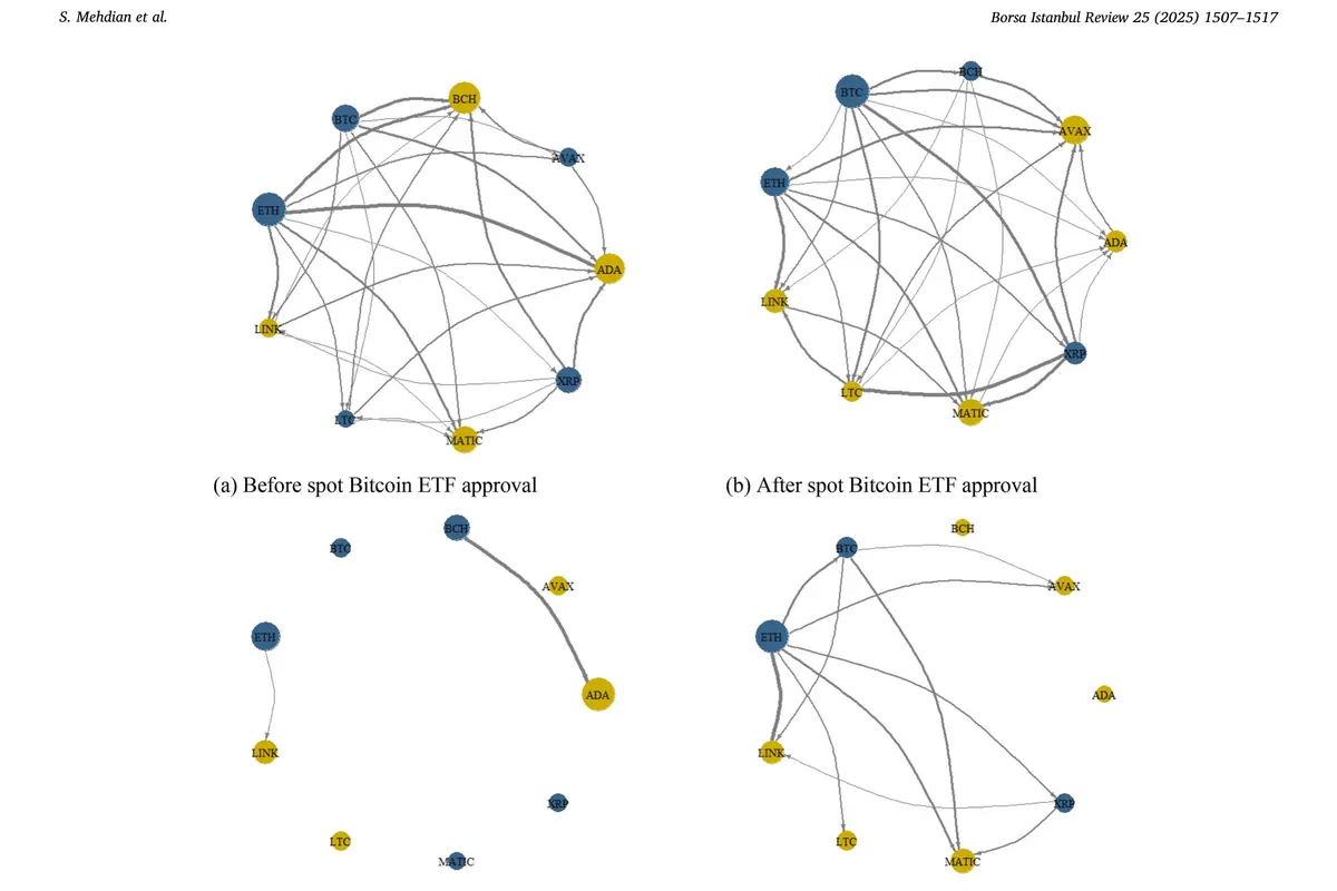 crypto-connectedness-networks